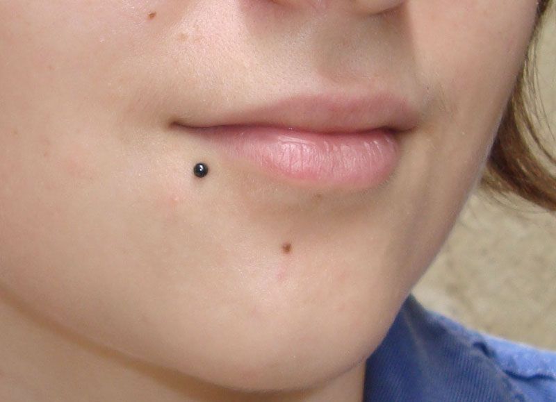 Les piercings autour de la bouche chez mds à montpellier MDS Monkey