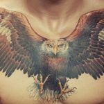 3_aigle_tatouage_photo_greg