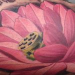 b6555_fleur_lotus_tatouage_photo_greg