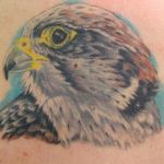 b8424_tete_aigle_tatouage_photo_greg