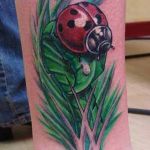 b921coccinelle_tatouage_photo_greg